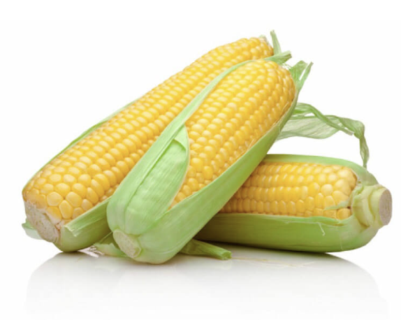 Elotes Dulce / Sweet corn (kg)