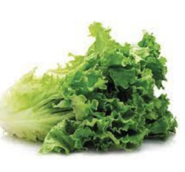 Lechuga Sifre (Units)