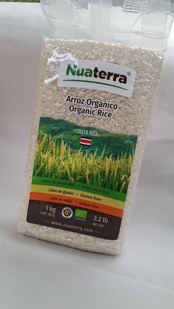 Arroz / Rice Blanco (Unidades)