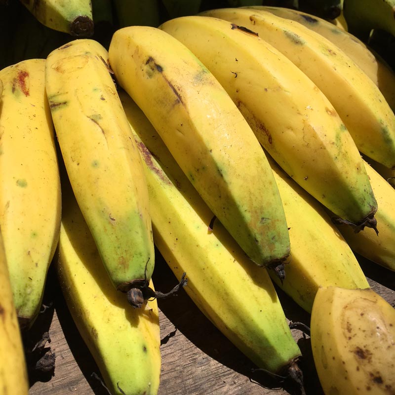 Bananas (Unidades)