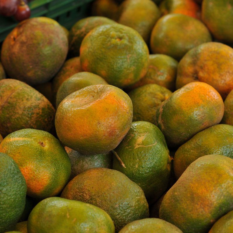 Mandarines/Mandarinas (Unidades)