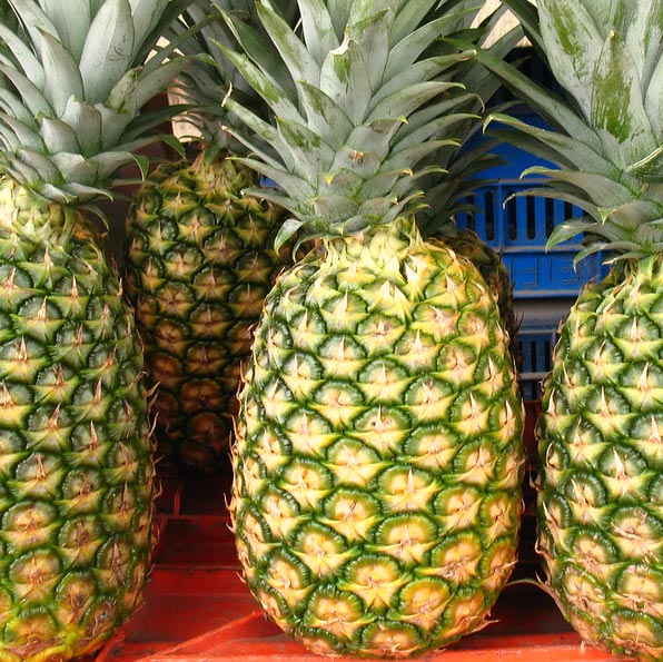 Pineapple/Piña (kg)