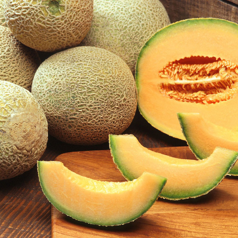 Cantaloupe/Melon (kg)