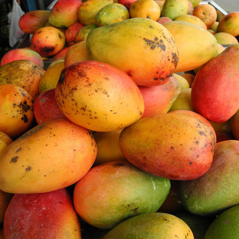 Mango (kg)