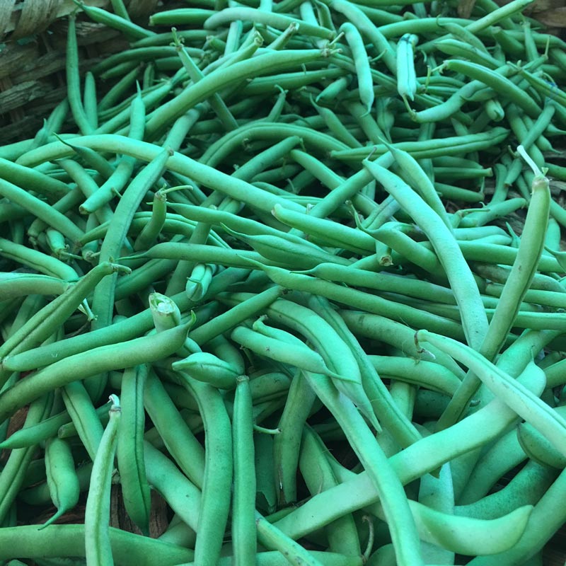 Green beans/Vainica (Unidades)