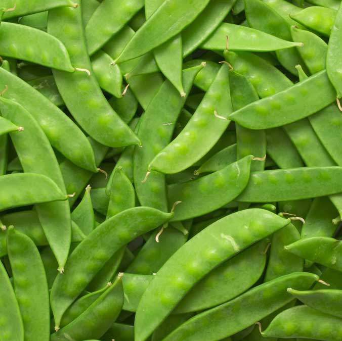 Snowpeas/Arbeja china (Unidades)