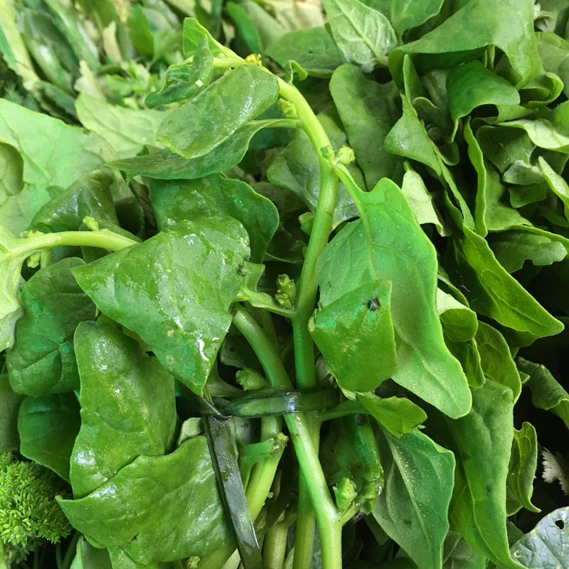 Spinach/Espinaca (Unidades)