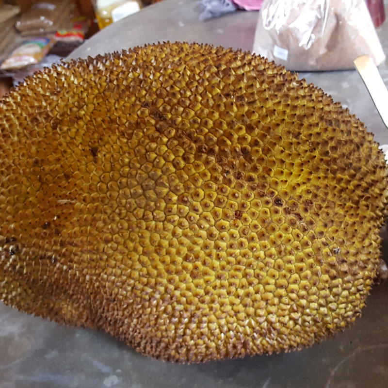 Jackfruit