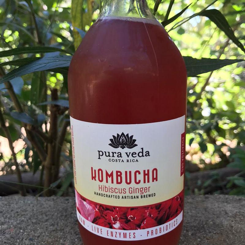 Kombucha Hibiscus Ginger (Unidades)