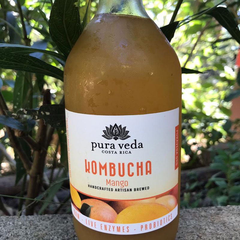 Kombucha Mango (Units)