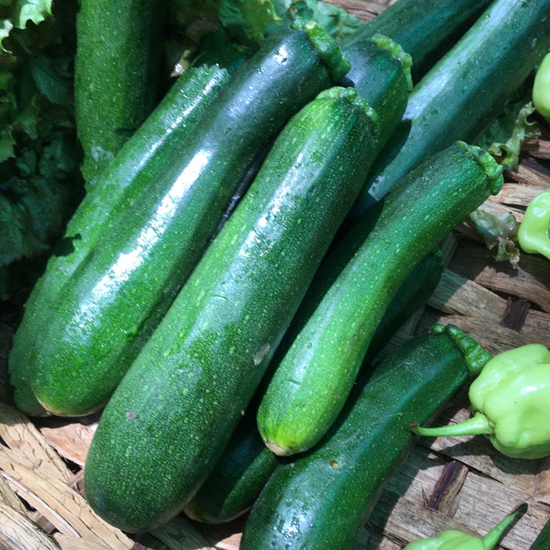 Mini zucchini (Unidades)