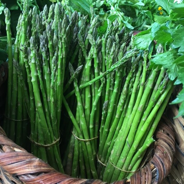 Asparagus/Espárragos (Unidades)