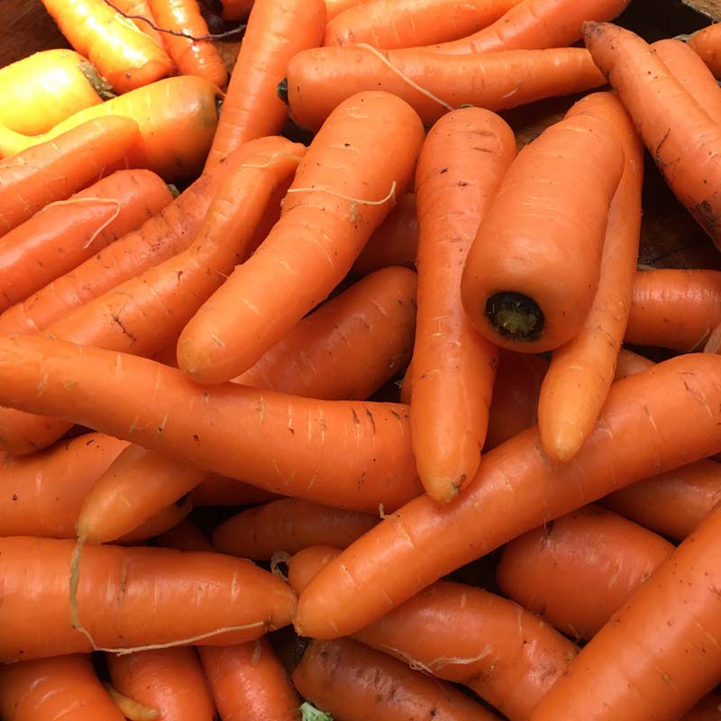 Carrots/Zanahoria (kg)