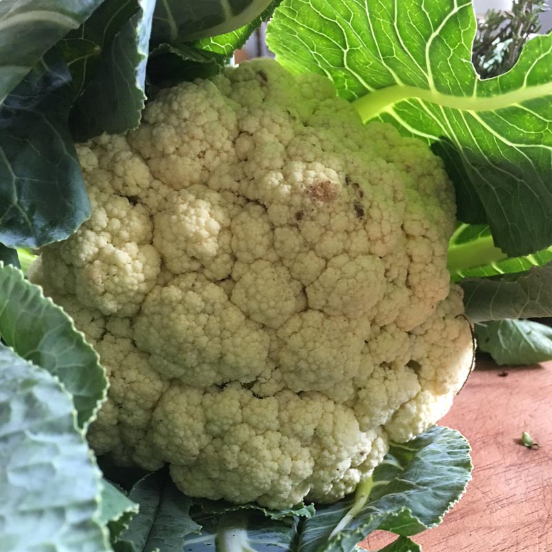 Cauliflower/Coliflor (Unidades)