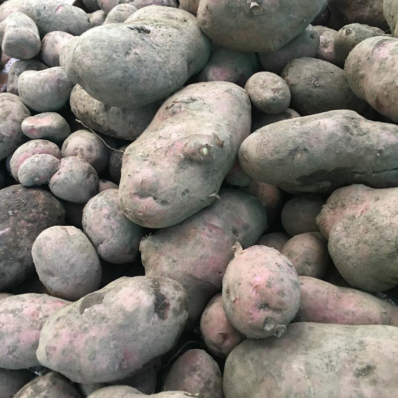 Potatos/Papa (kg)