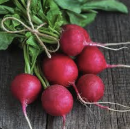 Radish (daikon)/Rabano  (Unidades)