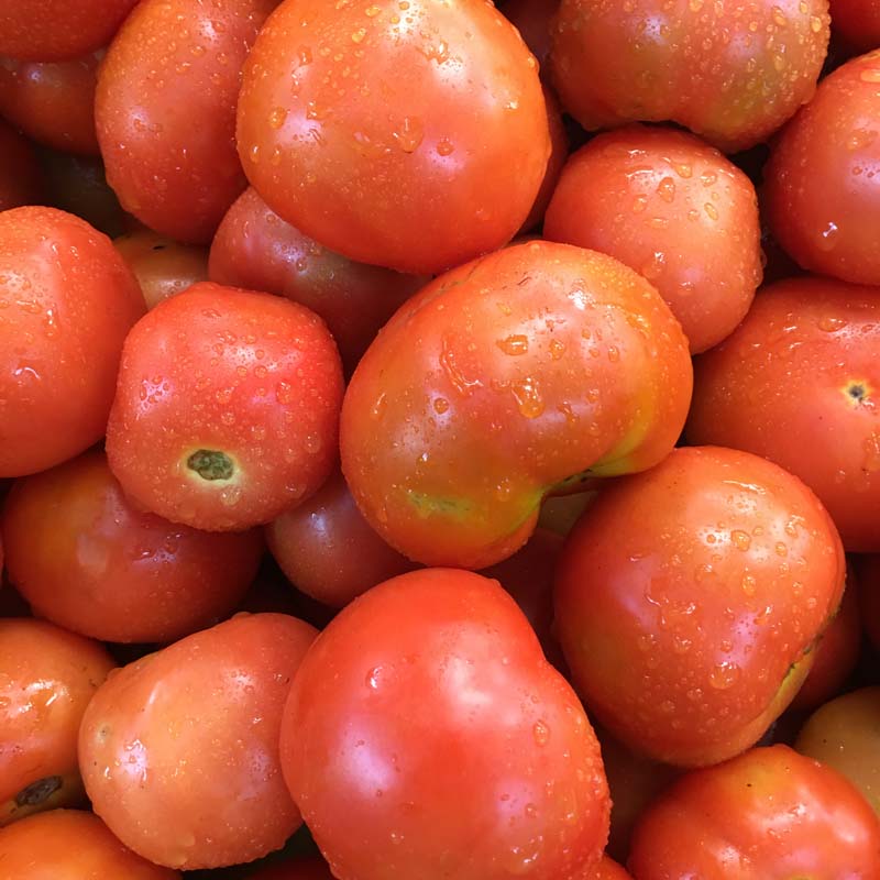 Tomatoes/Tomates (kg)