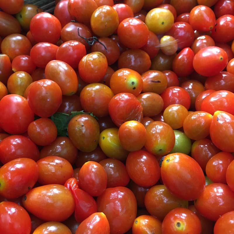 Tomatoes cherry/Tomates cherry (Unidades)