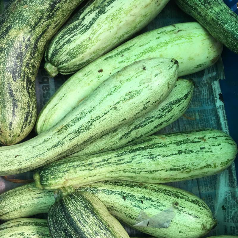 Zucchini/Zuchini (Unidades)