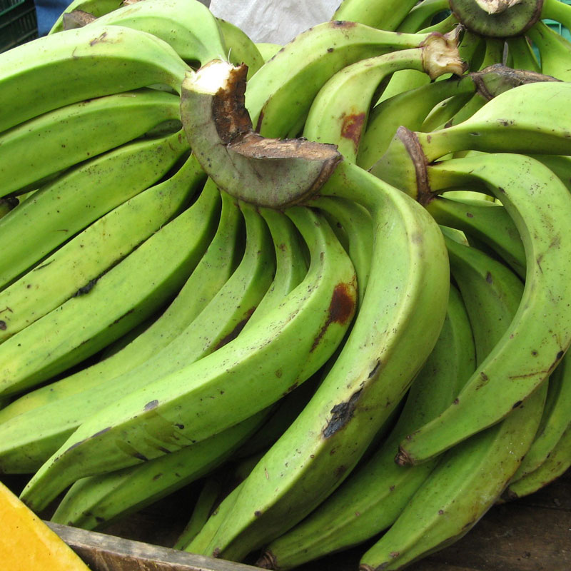 Plantain green/Platano verde (Unidades)