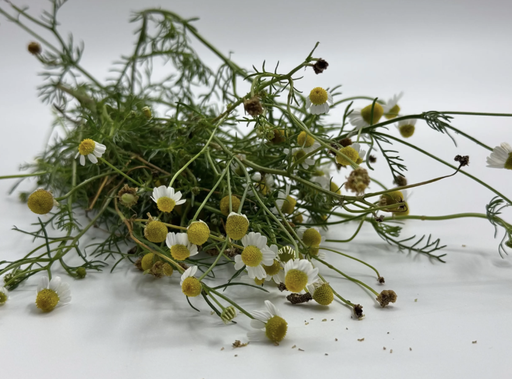 Manzanilla / Chamomile (kg)