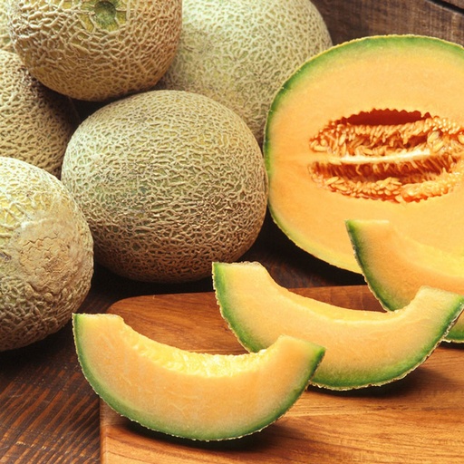 [season-040] Cantaloupe/Melon (kg)