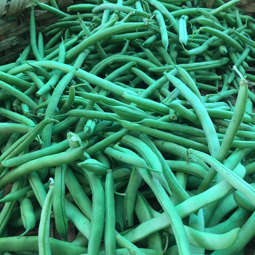 [gree-140] Green beans/Vainica (Units)