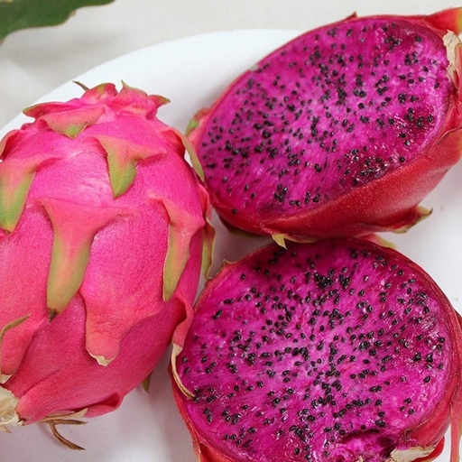 [season-060] Dragon Fruit/Pitaya (kg)