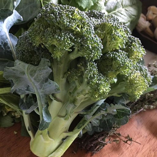 [7] Brocoli/Brocoli (Unidades)