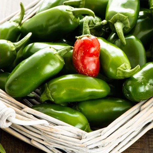 [cveg-287] Pepper jalapeno/Chile Jalapeño (Unidades)